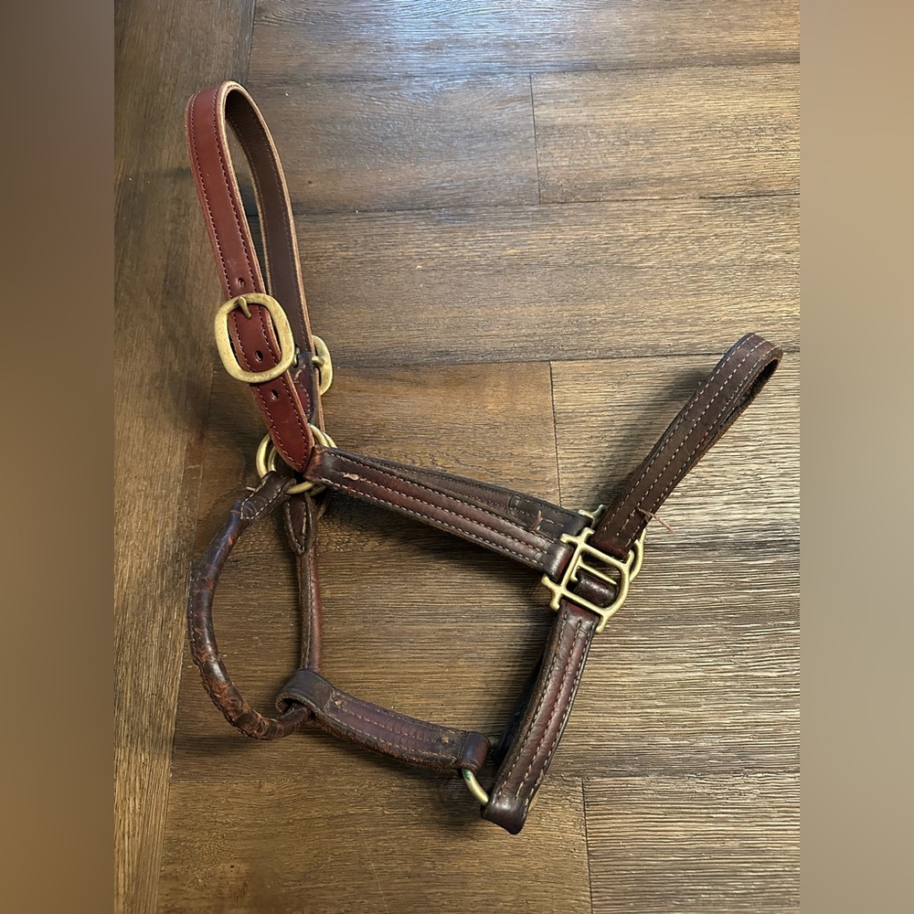 Horse Tack - Large Leather Halter